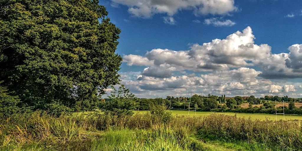 Spring Park to West Wickham Common circular walk