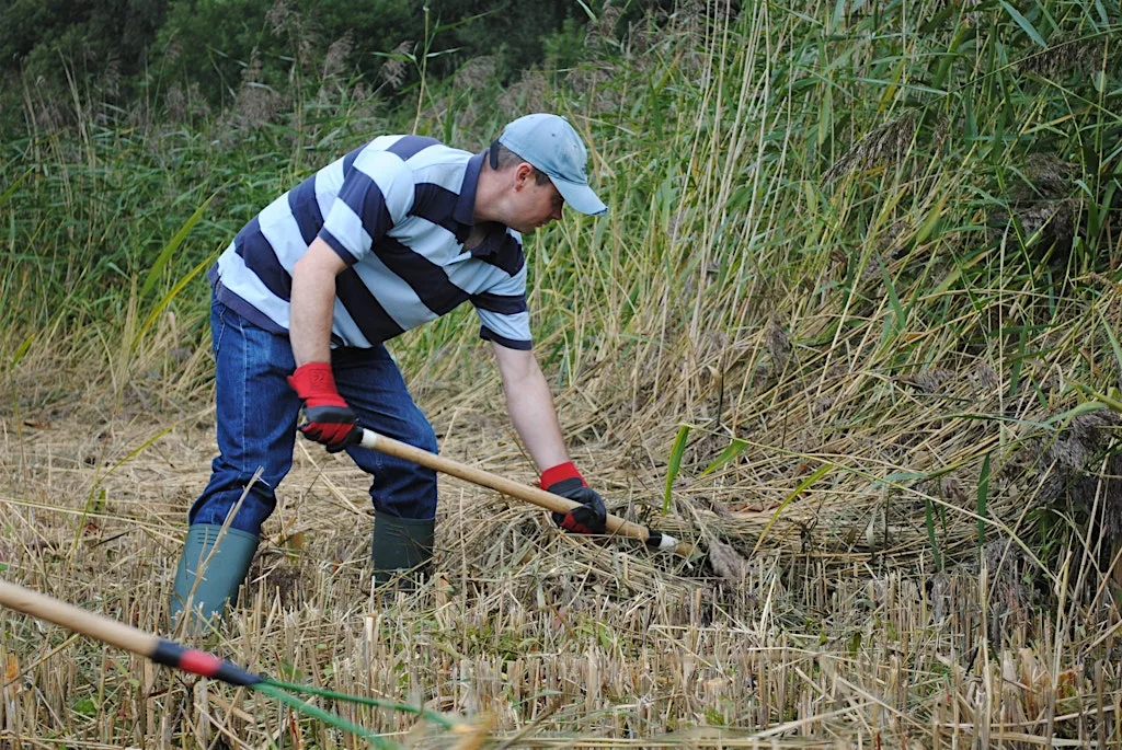 NWT Sweet Briar Marshes: Practical conservation task (Adult event 21 Aug) at BMX track, Sloughbottom Park