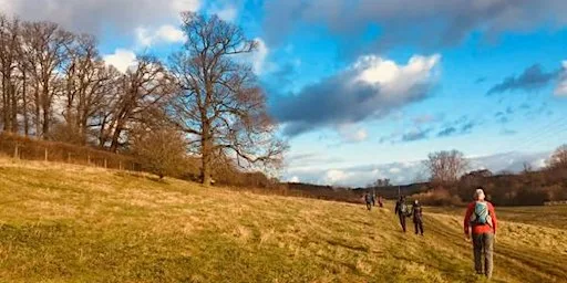 Explore the Stunning Kent Countryside: Wye Circular Hike