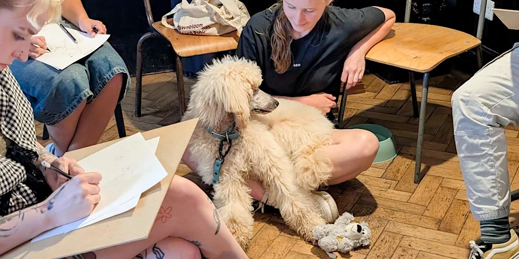 Dog Life Drawing at The Crafty Egg, Fishponds, Bristol - Summer Season at The Crafty Egg