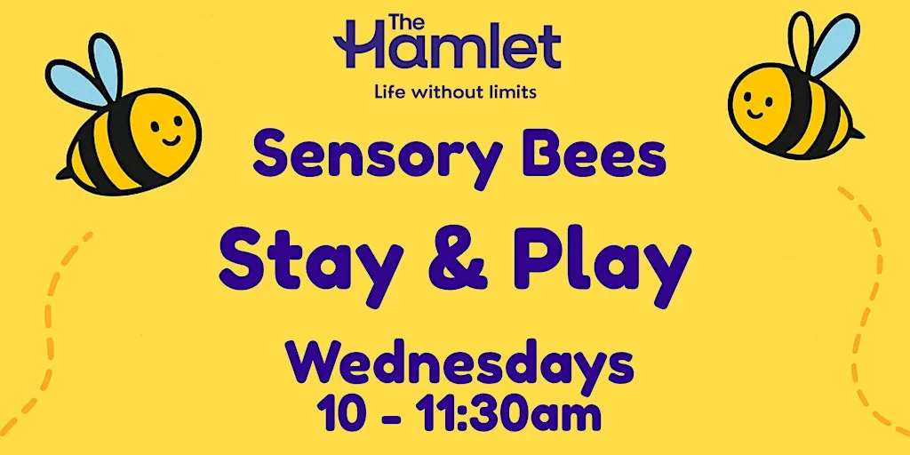 Sensory Bees Stay and Play at The Hamlet Charity