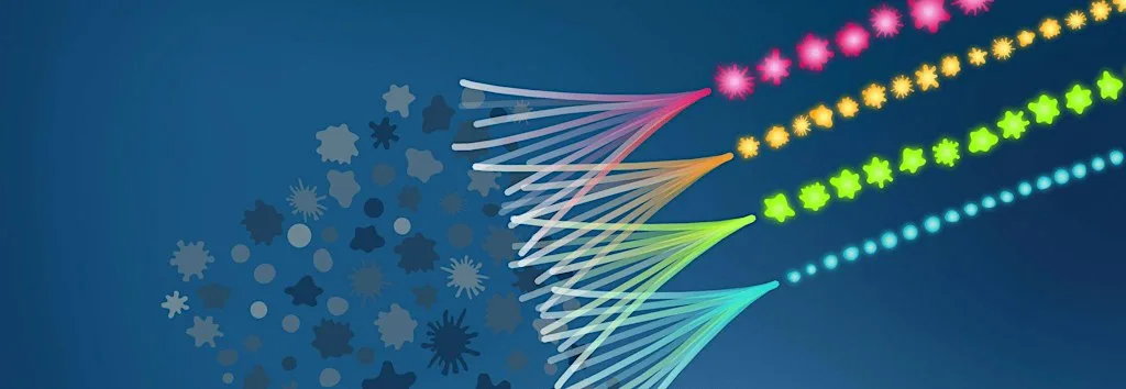 Flow Cytometry Workshop: Basics and Beyond