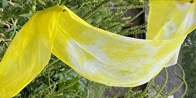Slow stitch and natural dyes - 2026