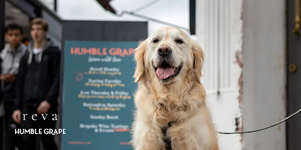 Paws & Pours: Wine Tasting Social For Dog Lovers at Humble Grape Canary Wharf