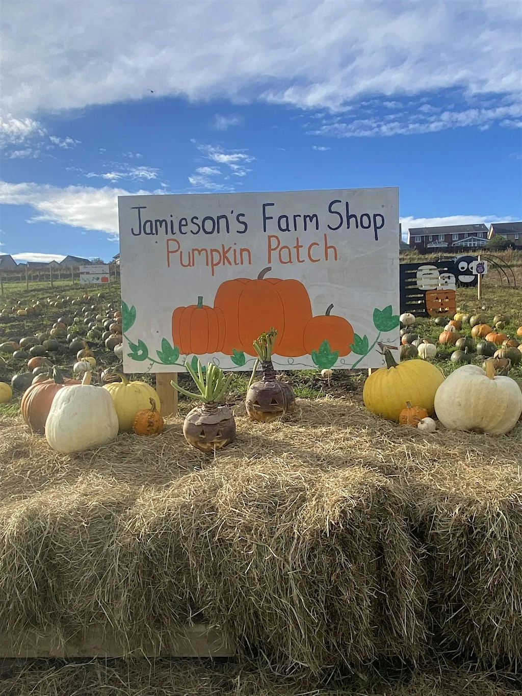 Jamieson's Farm Shop Pumpkin Patch 2026 at Jamieson's Farm Shop