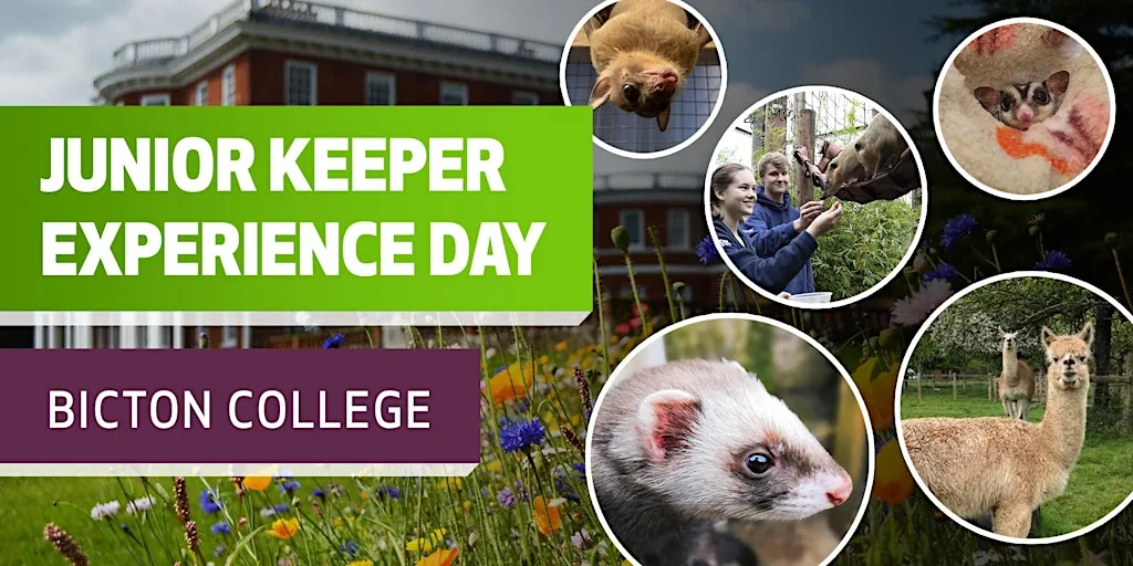Junior Keeper Experience Day at Bicton College