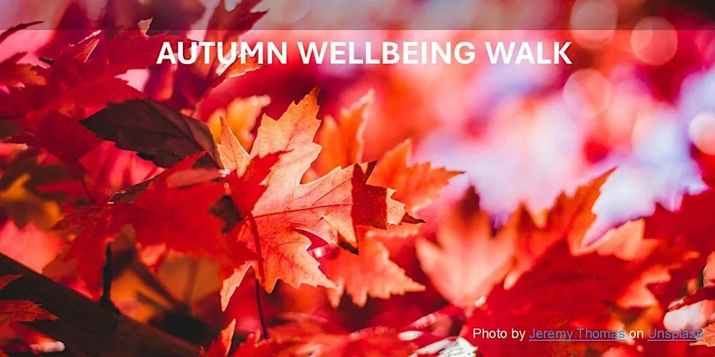 Autumn Wellbeing Walk with Climate Action North at Dalton Park Outlet Shopping Destination