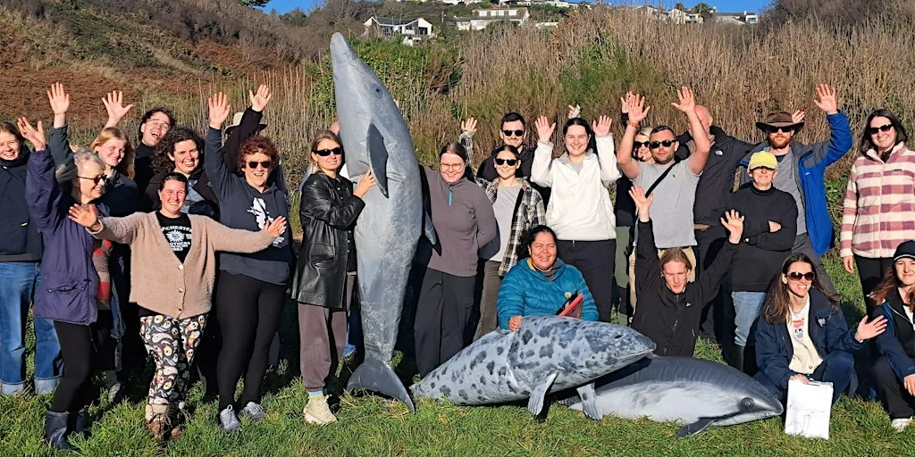 East Devon Marine Strandings Network Volunteer Training Day