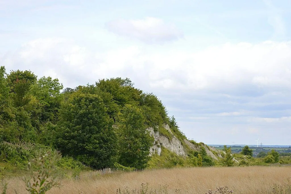 Walk and Talk for MENtal Health - Totternhoe Knolls at Totternhoe Knolls Car Park