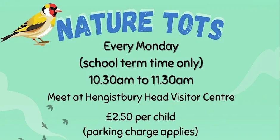 Nature Tots - outdoor nature play for children aged 2-4