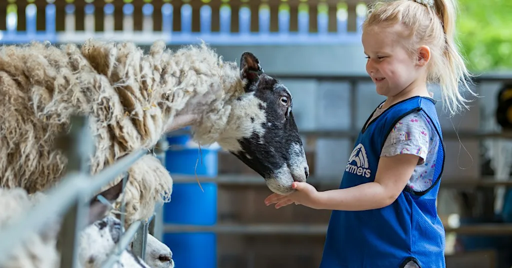 Thrift Farm Day Nursery & Pre-School Open Day - Saturday 7th November at Thrift Farm Day Nursery & Pre-School