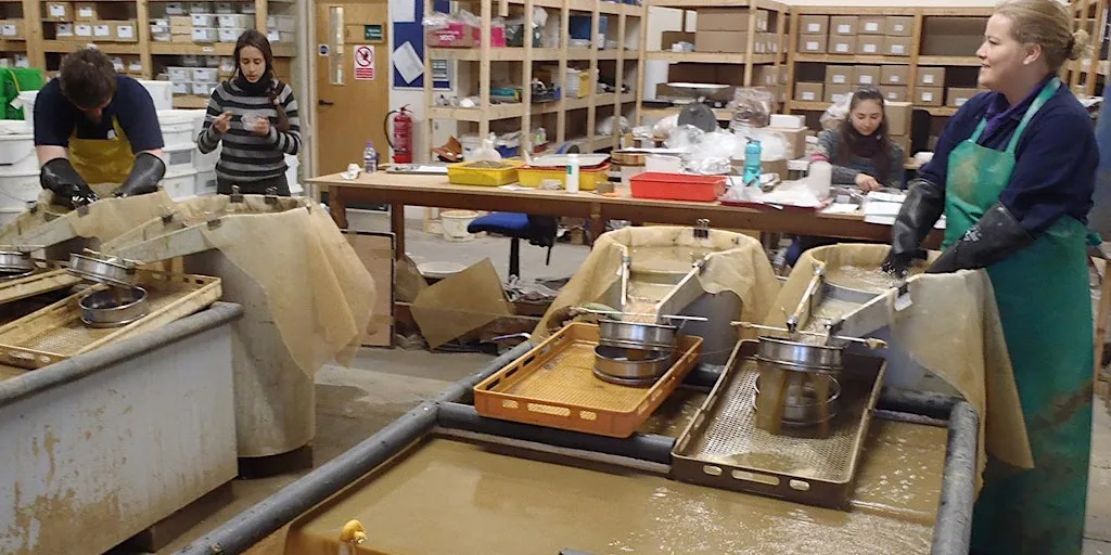 CRI-U Finds Washing at Wardell Armstrong LLP