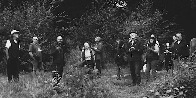 Bat Walk - Beck Wood