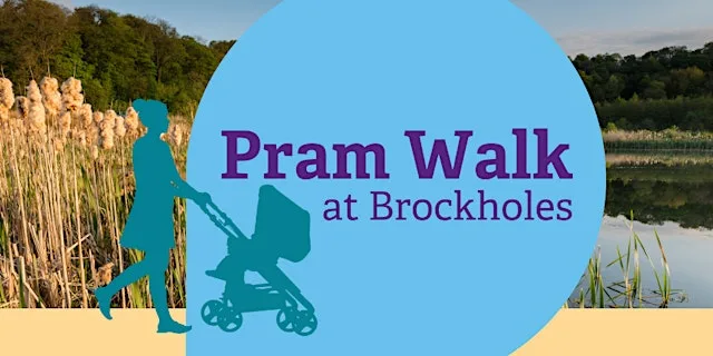 Brockholes Pram Walk at Brockholes Nature Reserve