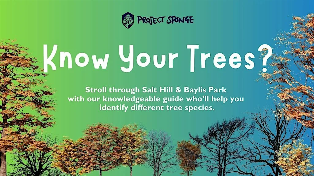 Tree Identification Walk at Salt Hill Activity Centre