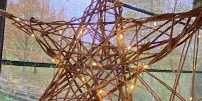 Willow Stars at Kingsbury Water Park