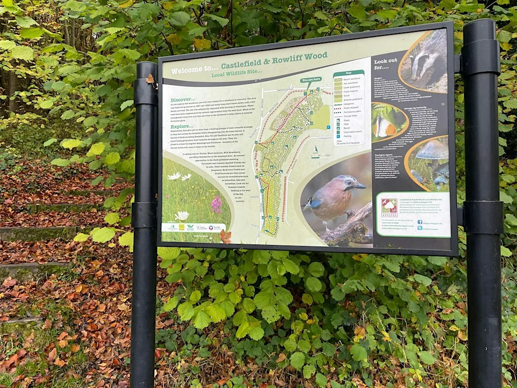 Green Thursday - Raking through Castlefield