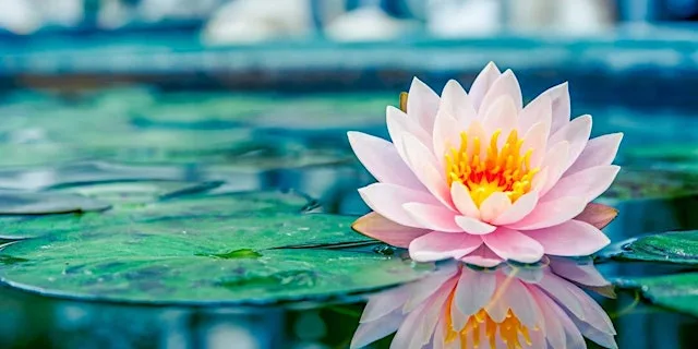 Coventry Buddhist Meditation Group