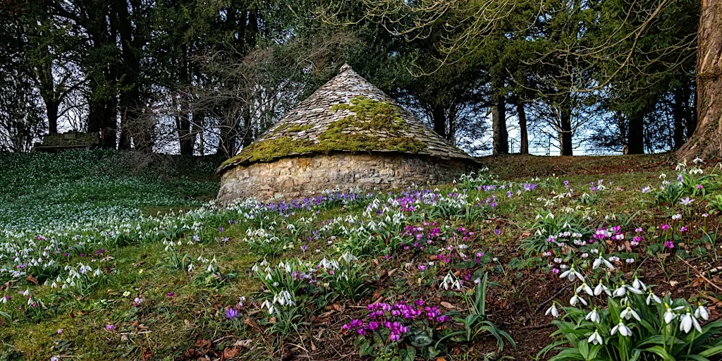 Colesbourne Snowdrops at Colesbourne Gardens