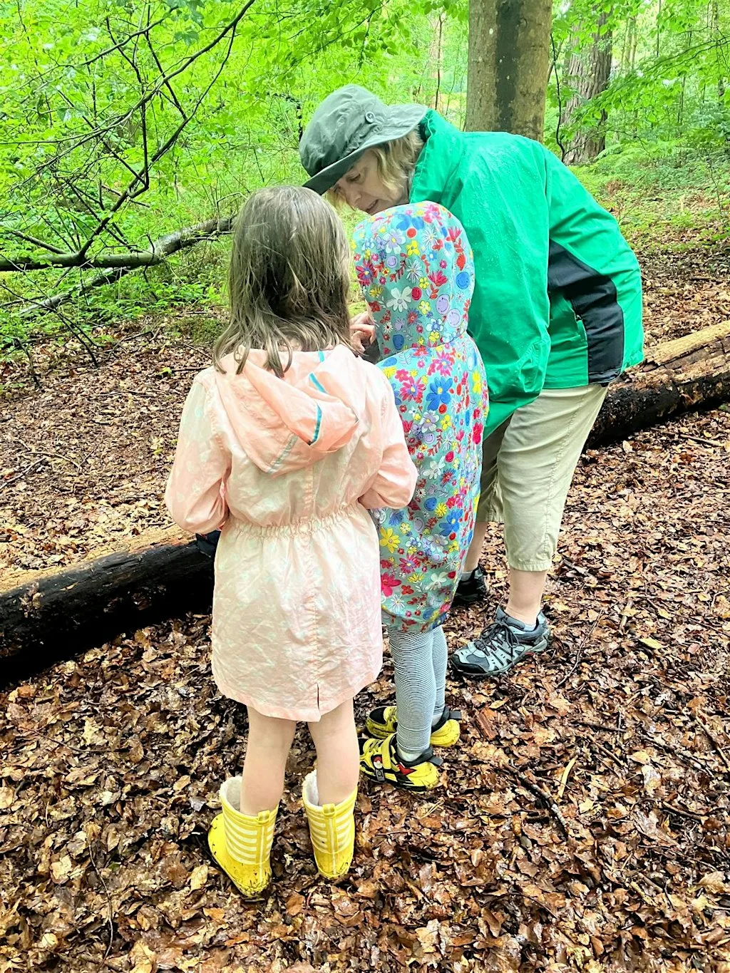 Bug hunting with our rangers