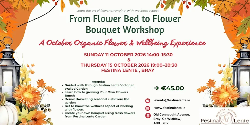 From Flower Bed to Flower Bouquet - October Wellbeing Workshop at Festina Lente