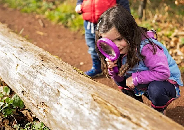 Little Bugs Club at Summer Leys - 30th July at Summer Leys Nature Reserve