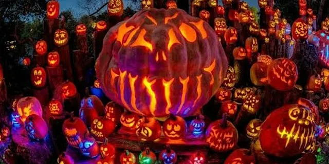 St Brigid's Road National School Halloween Pumpkin Exhibition Evening 2026 at St Brigids Road National School, Killester, Dublin 5