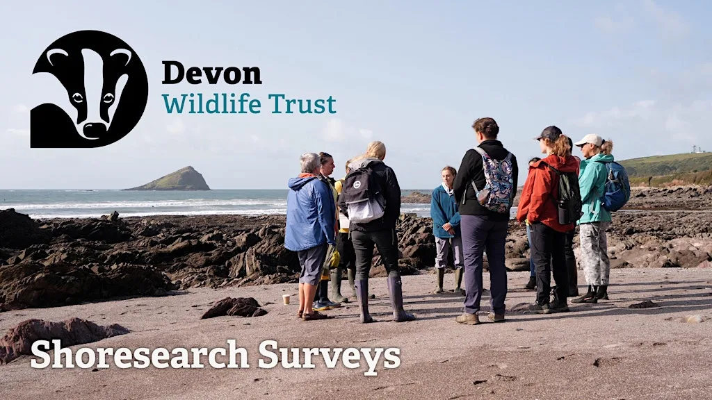 Shoresearch Volunteer Survey