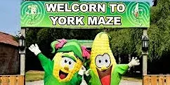 Move More Holiday Programme. Trip to York Maze. Monday 3rd August. at Eastbourne Sports Complex