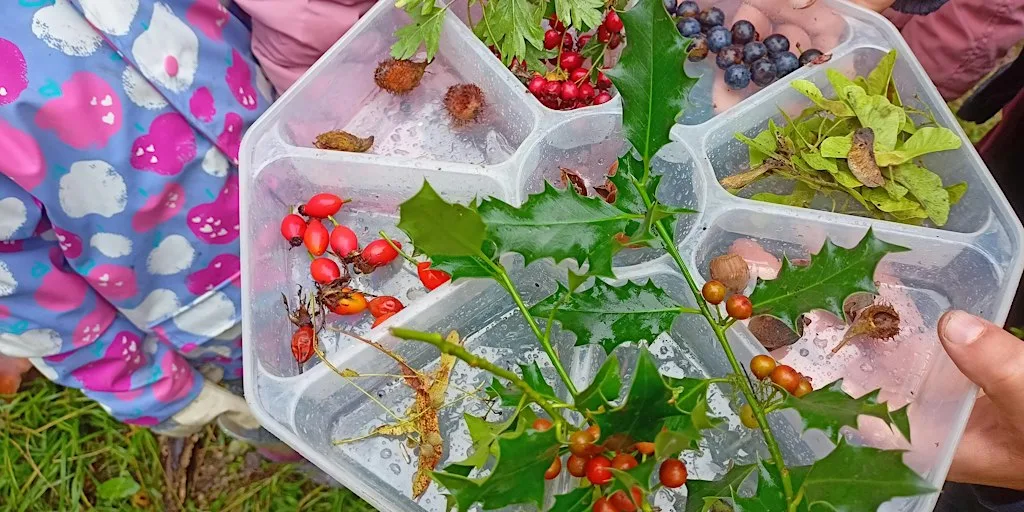 Tree Nursery Seed Processing and Stock Taking