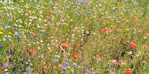 Arthur's Seat Fitness