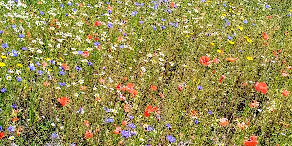 Arthur's Seat Fitness