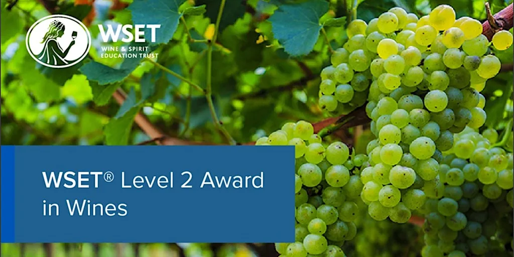 WSET Level 2 Award in Wine Course | Amathus Bath