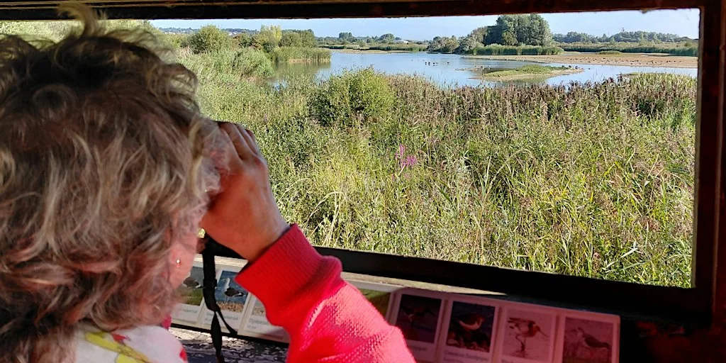 Castle Water Bird Walk at Rye Harbour Nature Reserve (420337035)