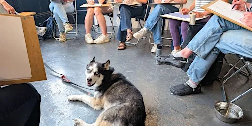 Dog Life Drawing at Kit.Form, Bristol - Autumn season at Kit Form