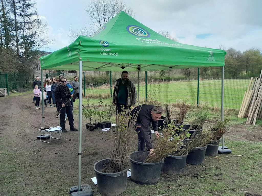Household Tree Donations - All Cardiff (spring round 27) at Forest Farm Country Park