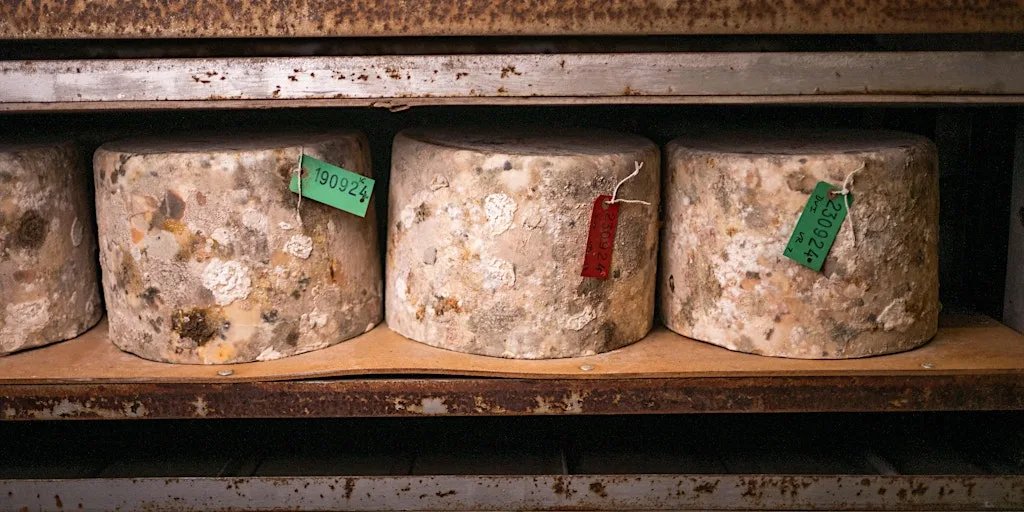 Quicke's Cheese Tour 14th August at Quicke's Farm