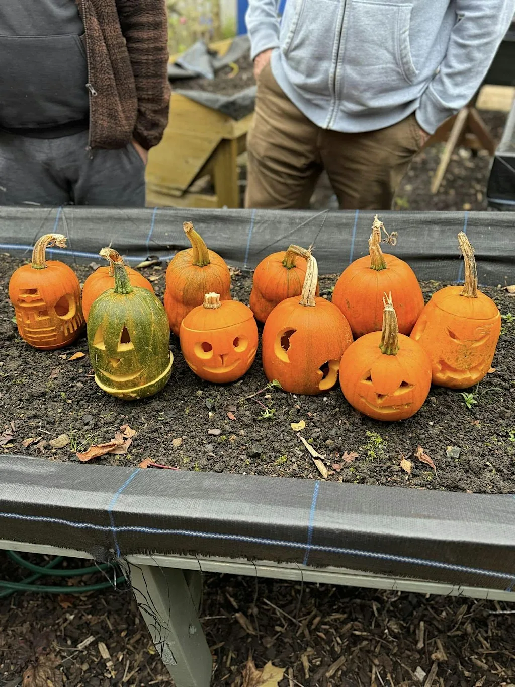 Pumpkin Carving & Soup at Ruddington Allotment at Ruddington Village Hall