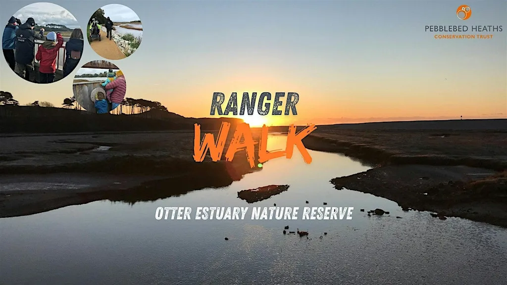 Otter Estuary Ranger Walk at Otter Estuary Nature Reserve S Farm Rd Car Park