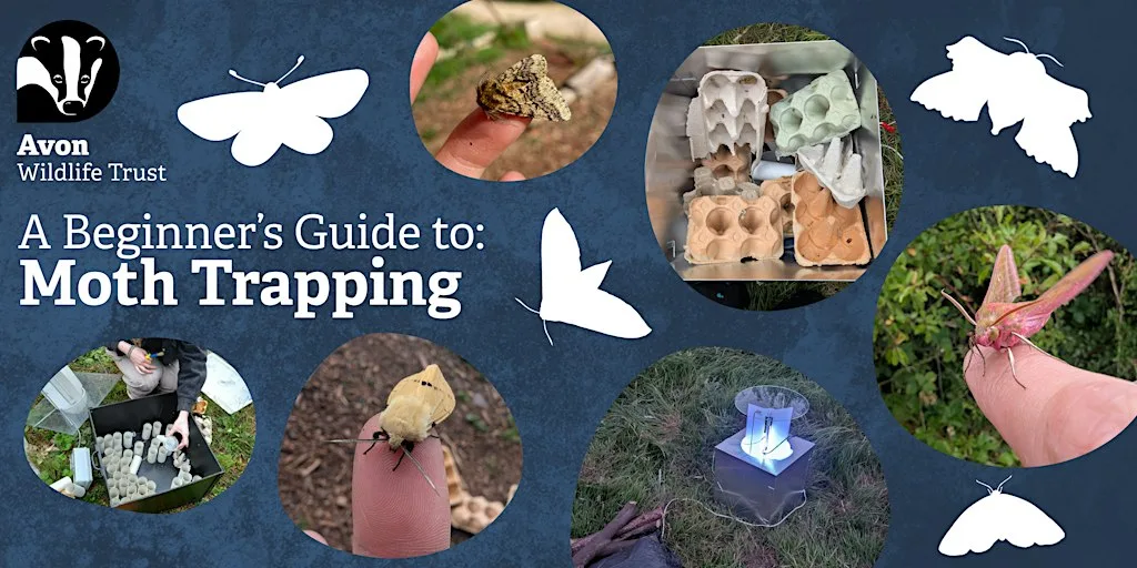 Youth Event: A Beginner's Guide to Moth Trapping at Grow Wilder