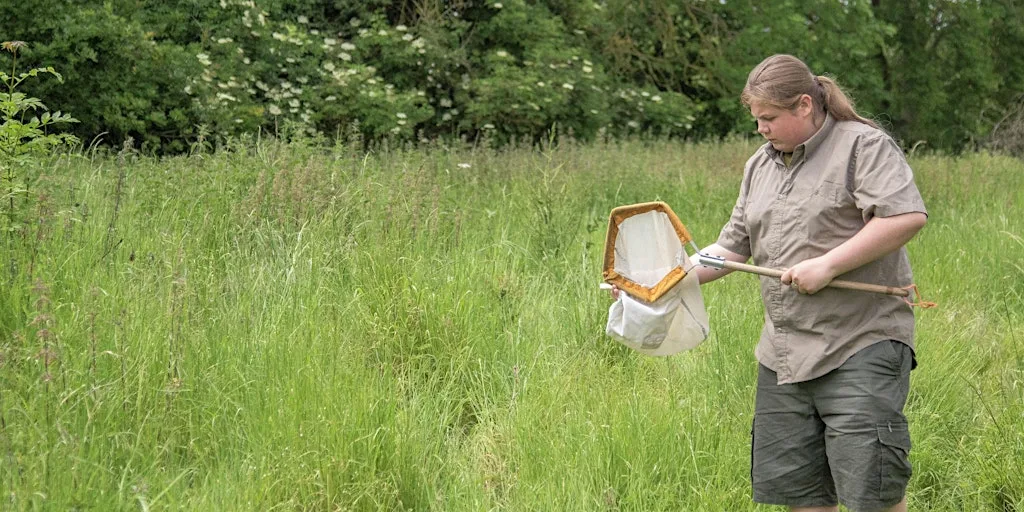 For ages 13+ - Introduction to Invertebrates with Brian Eversham at The Wildlife Trust Countryside Centre