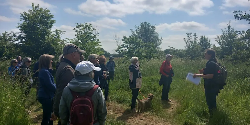Martlesham Wilds Guided Walk (WG6) at Martlesham Wilds