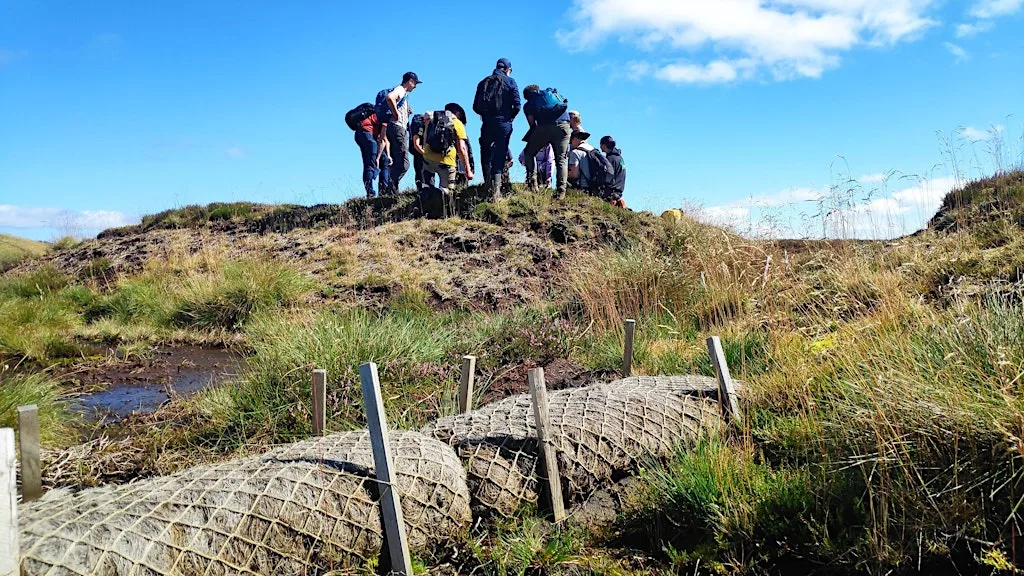 Peatland Restoration Practitioner Course: Start date 14/08/26 (compressed) at Craven Cattle Mart