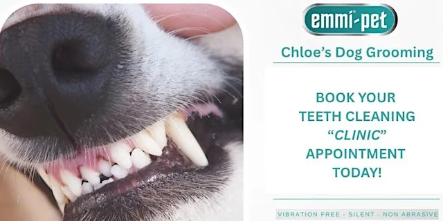 Cronins Canine Companions Emmi-Pet Dog Teeth Cleaning Clinic, wi at Cronin's Canine Companions