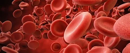 Pharmacists' Essential Guide to Haematology - September 2026 at UCH Education Centre