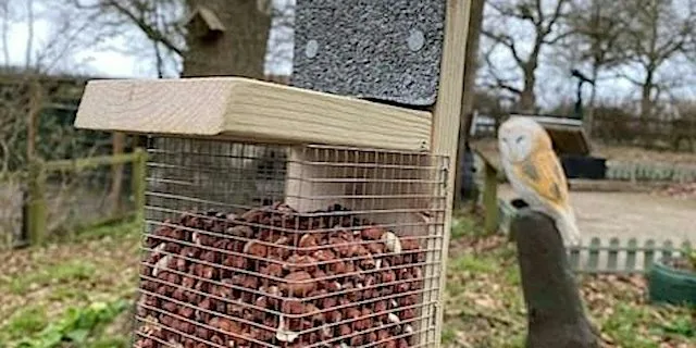 Peanut Bird Feeders at Ryton Pools Country Park