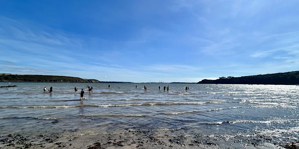Free Family Rock Pooling & Push Netting at Dale Beach