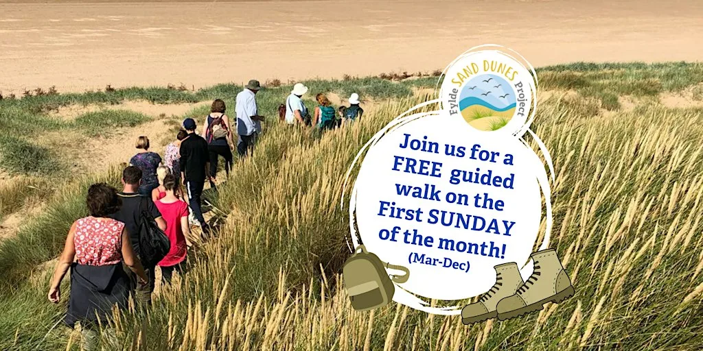 Guided Walk: Discover the Fylde Sand Dunes