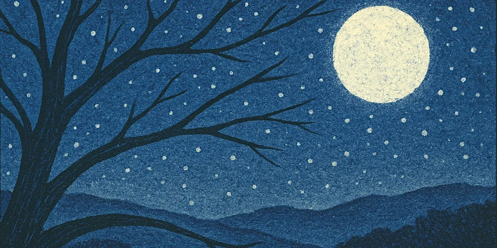 Singing in the dark times: a winter poetry workshop at Tegg's Nose at Tegg's Nose Country Park