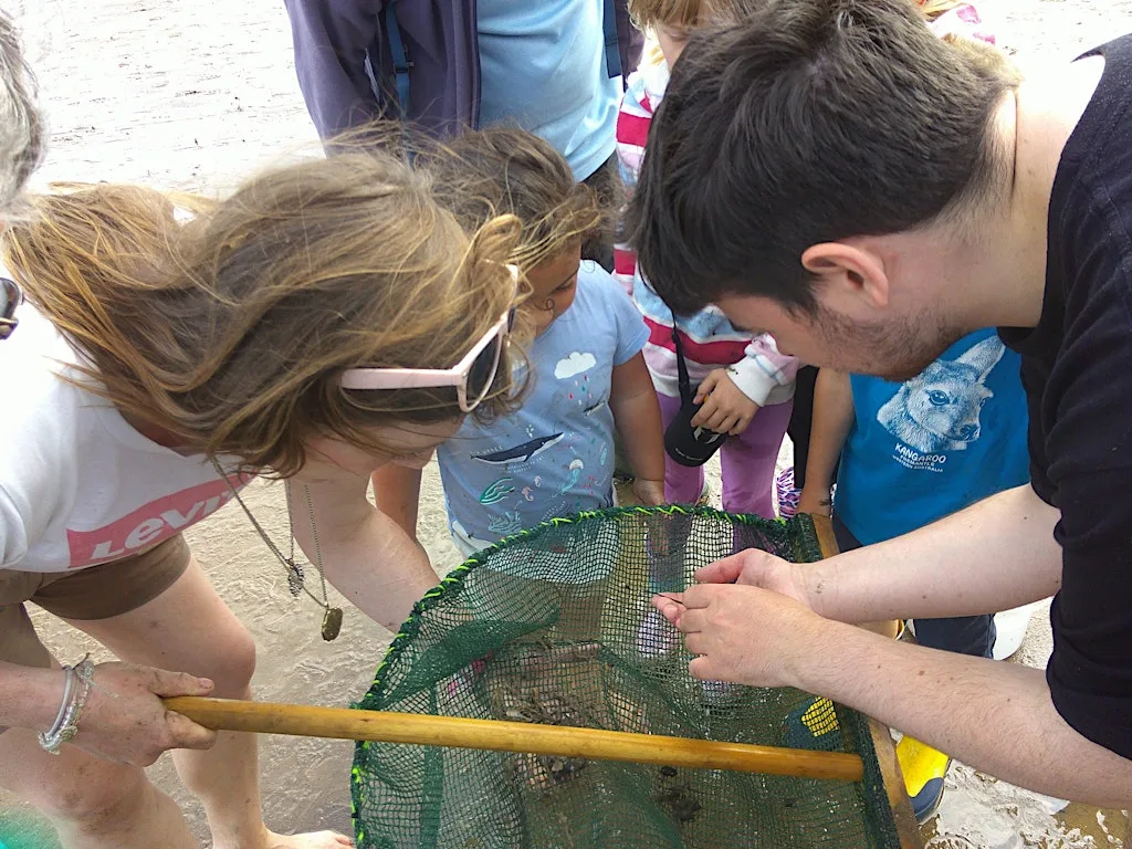 Evening Sea Dipping at Gibraltar Point National Nature Reserve